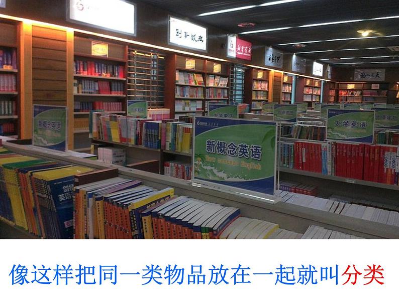 一年级数学下册课件-3 分类与整理(32)-人教版(共17张ppt)第4页