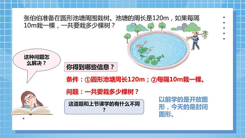 7.3《植树问题3》课件+教案06