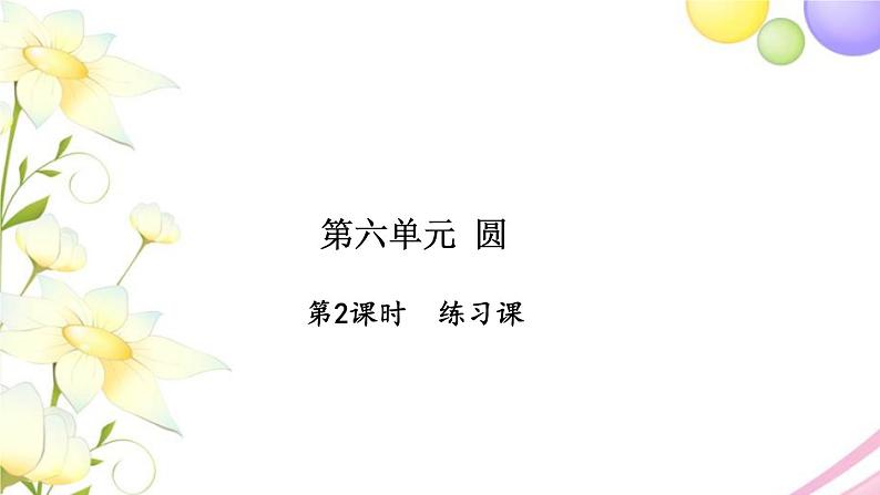 苏教版五年级数学下册第六单元圆第2课时练习课习题课件01