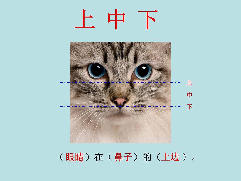 一年级下册数学课件-5.2 上 中 下 左 中 右 ▏沪教版 (共15张PPT)02