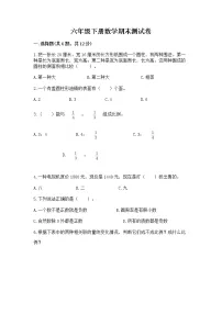 六年级下册数学期末测试卷（综合题）