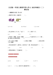 小学北京版九 加法和减法（二）优秀同步达标检测题