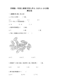 数学一年级上册第九单元 《认识11-20各数》同步训练题