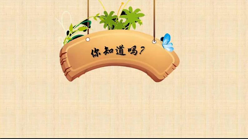 《负数的认识》课件设计第6页