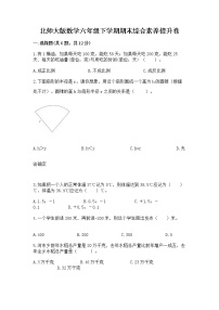 北师大版数学六年级下学期期末综合素养提升卷新版