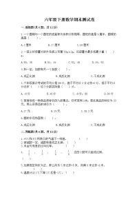六年级下册数学期末测试卷附答案(巩固)