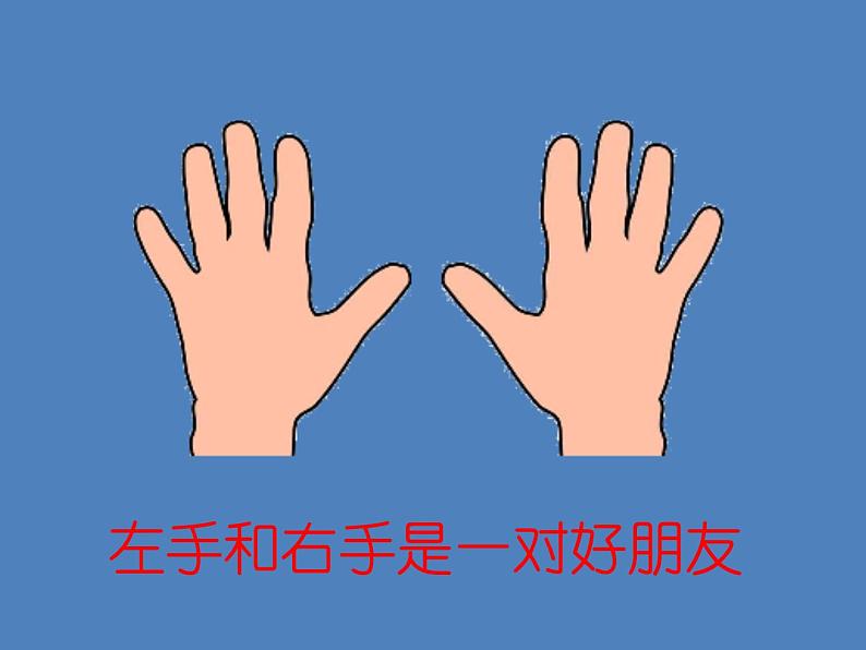 一年级下册数学课件-5.1 左与右 ▏沪教版 (共19张PPT)03