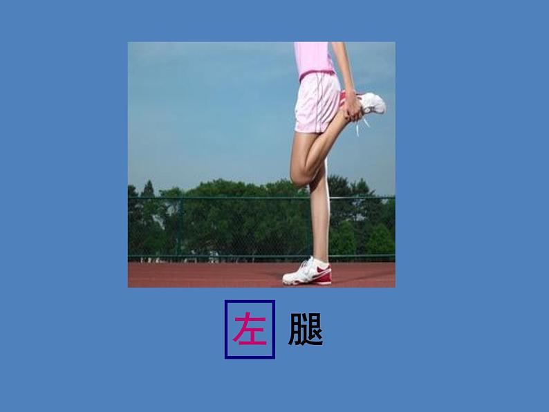 一年级下册数学课件-5.1 左与右 ▏沪教版 (共19张PPT)08