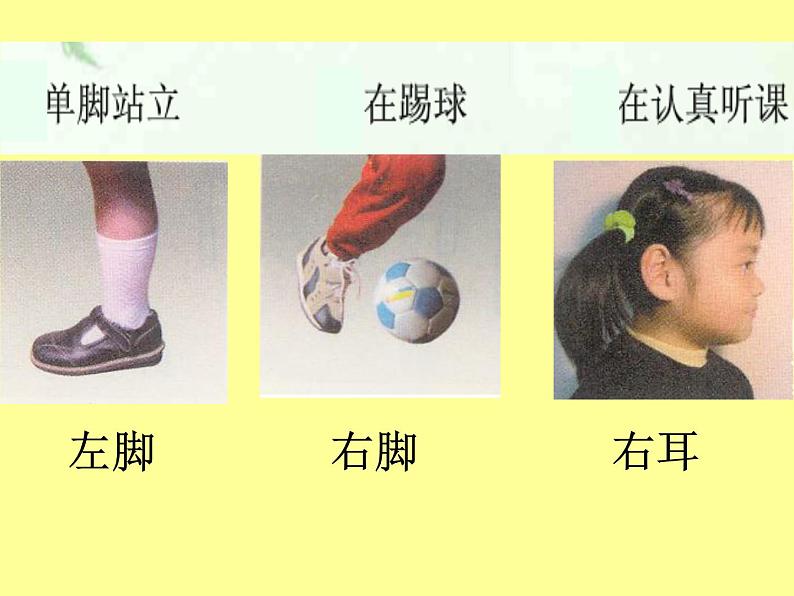 一年级下册数学课件-5.1 左与右 ▏沪教版 (共20张PPT) (1)08