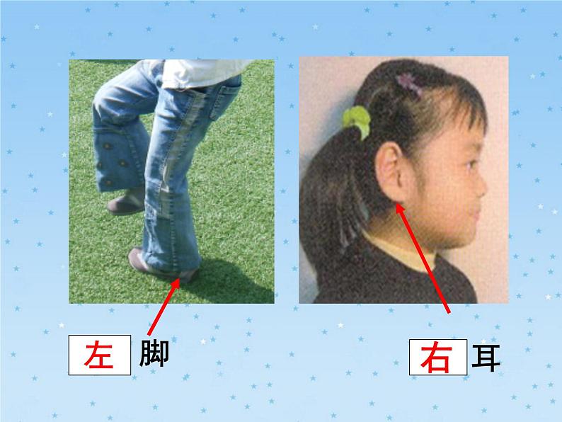 一年级下册数学课件-5.1 左与右 ▏沪教版 (共20张PPT)07