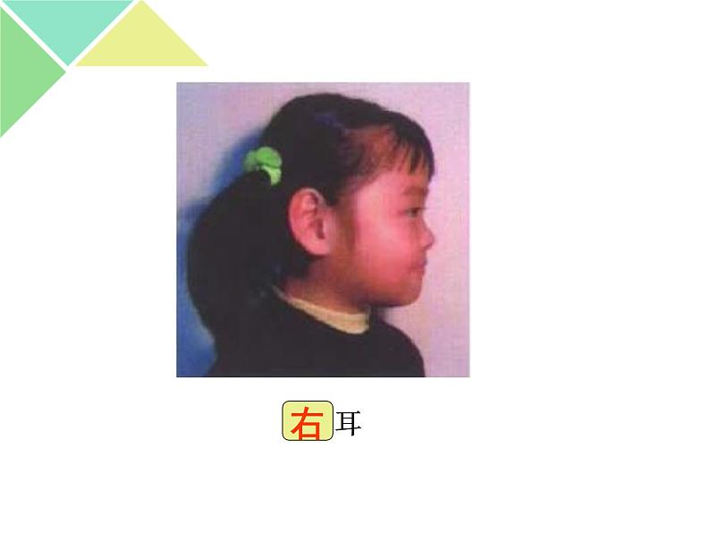 一年级下册数学课件-5.1 左与右 ▏沪教版 (共21张PPT) (1)第6页