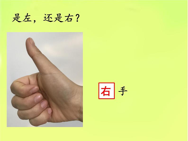 一年级下册数学课件-5.1 左与右 ▏沪教版 (共21张PPT)07