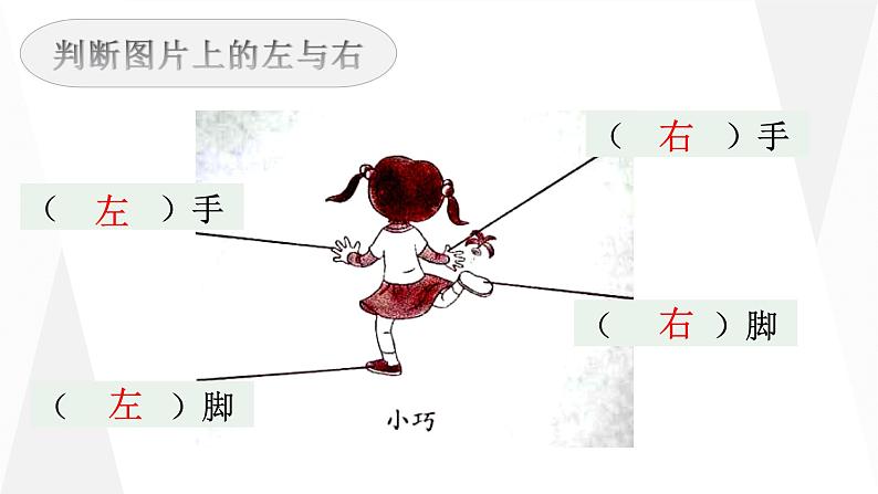 一年级下册数学课件-5.1 左与右 ▏沪教版 (共10张PPT)04