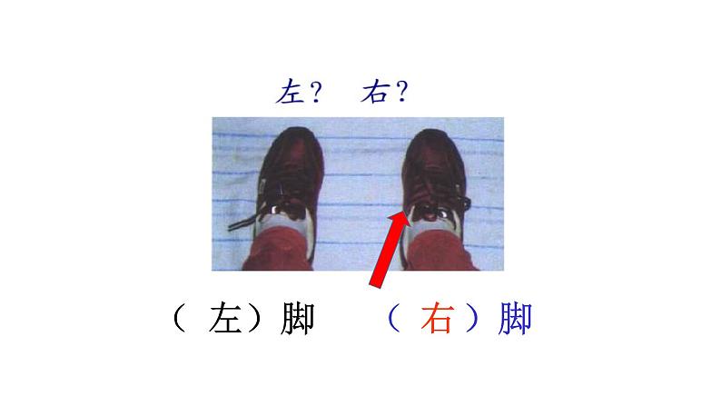 一年级下册数学课件-5.1 左与右 ▏沪教版 (共12张PPT)第5页