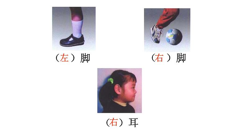 一年级下册数学课件-5.1 左与右 ▏沪教版 (共12张PPT)第6页