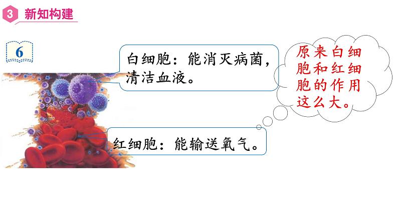 【同步备课】第5课时 将整万数改写成用“万”作单位的数(课件)四年级数学上册(人教版)第5页