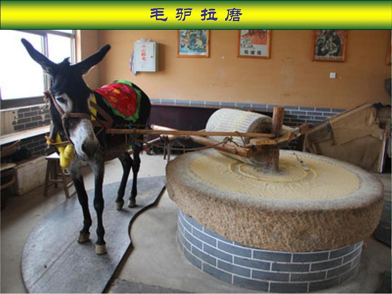 北师大版 六年级上册《圆的面积》二优质课件04
