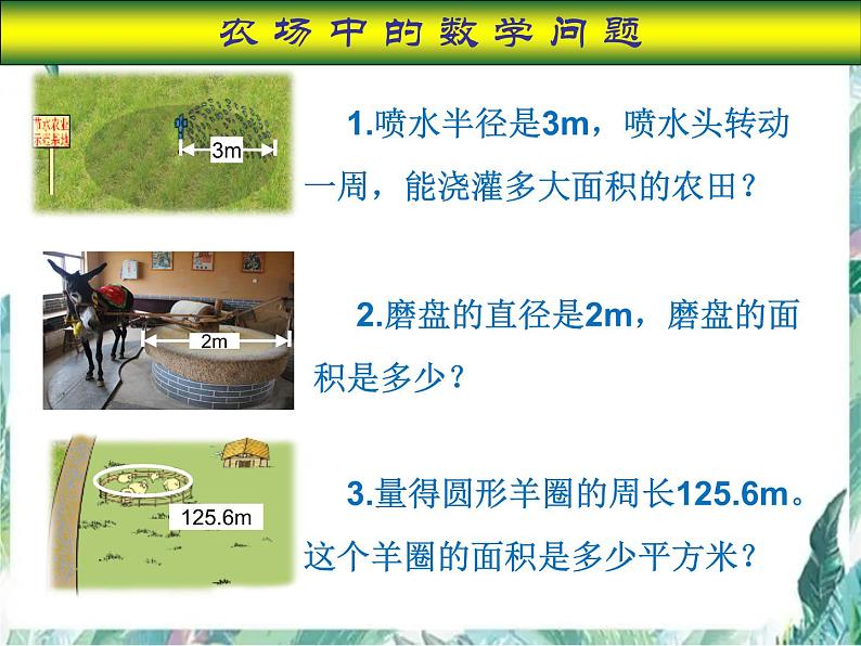 北师大版 六年级上册《圆的面积》二优质课件08