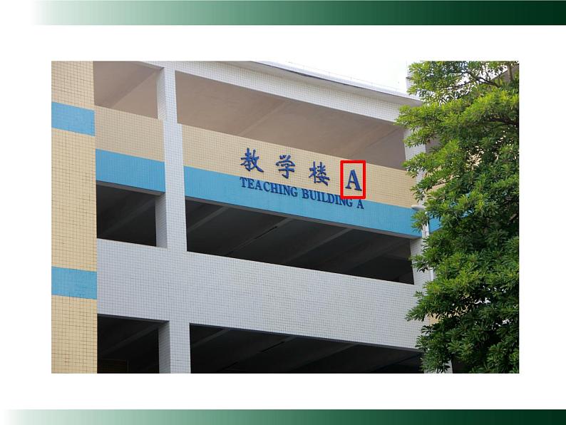 五年级上册数学课件-4.1 简易方程(用字母表示数)▏沪教版 (共20张PPT)05