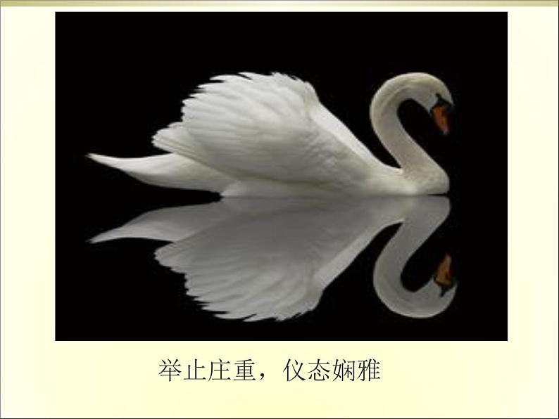 青岛(六三)版数学四上 3..1三位数乘两位数的口算 课件第4页