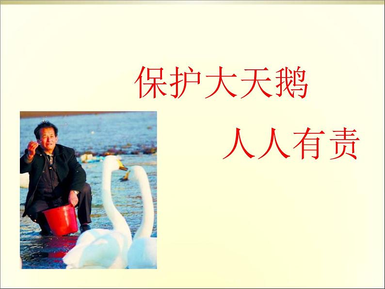 青岛(六三)版数学四上 3..1三位数乘两位数的口算 课件第7页