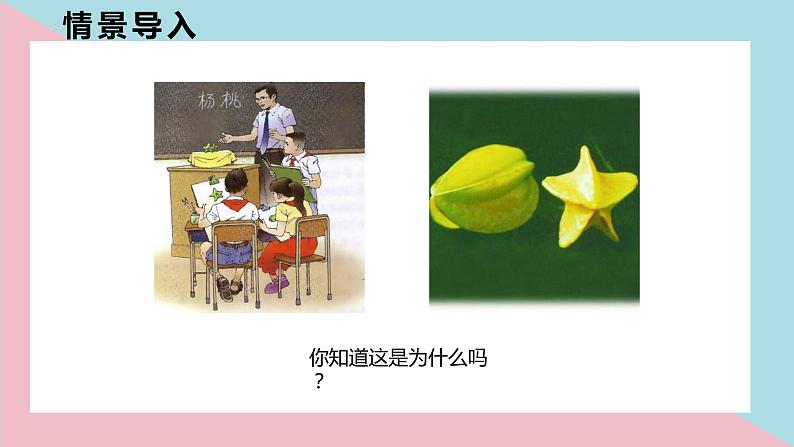 苏教版(新)二上-第七单元 1.从不同方向观察物体和几何体【优质课件】04