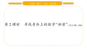 北师大版二年级上册数学好玩寻找身体上的数学“秘密”习题ppt课件