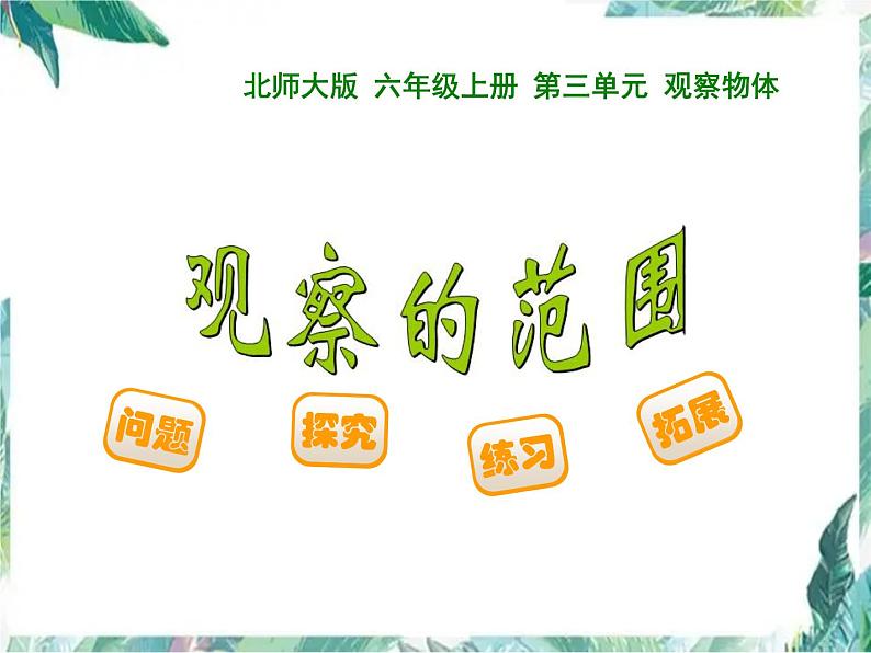 北师大版数学六年级上册《观察的范围》优质课件 PPT课件01