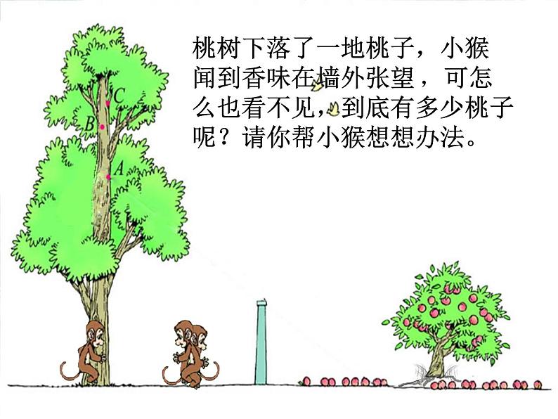 北师大版数学六年级上册《观察的范围》优质课件 PPT课件02