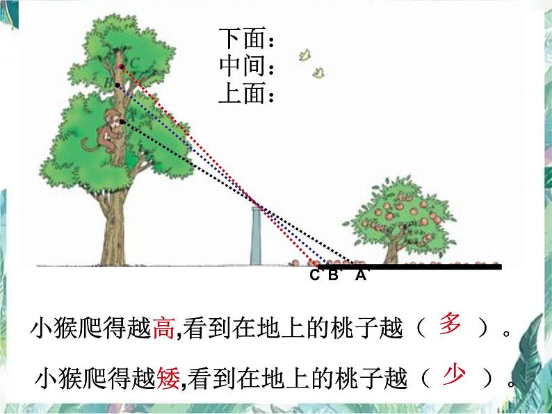 北师大版数学六年级上册《观察的范围》优质课件 PPT课件04