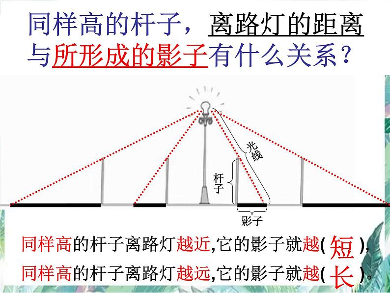 北师大版数学六年级上册《观察的范围》优质课件 PPT课件06