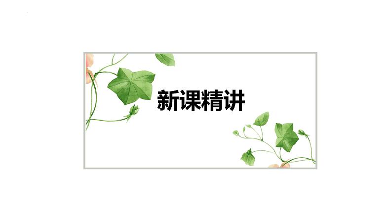 【同步备课】 第一单元 第6课时 圆的面积(二)(课件)小学数学六年级上册(北师大版)05