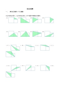 2021学年三角形的面积精练