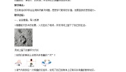 北师大版二年级上册数学好玩寻找身体上的数学“秘密”优秀学案