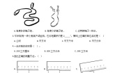 北师大版二年级上册数学好玩寻找身体上的数学“秘密”测试题