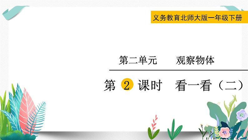 北师大数学一下课件第2课时 看一看(二)第1页