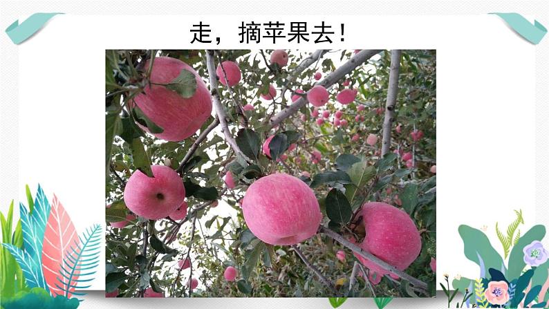 北师大数学一下课件第3课时 摘苹果第2页