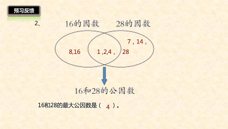 五年级数学北师大版上册 5.6 找最大公因数 课件06