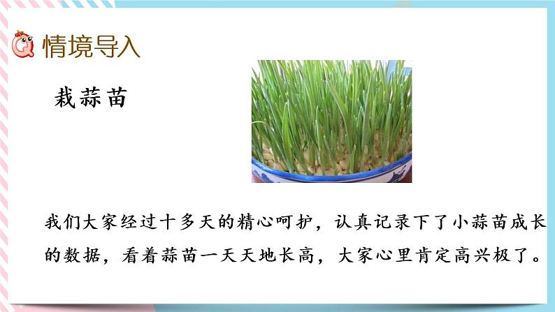 6.2 栽蒜苗(一)(1) 课件+练习02