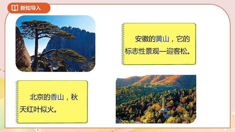 3.4《比一比》课件(送教案+导学案)06