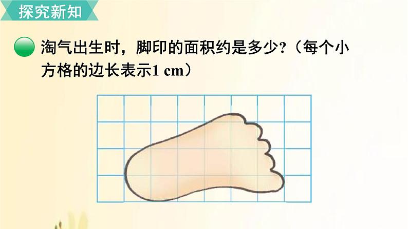 北师大版数学五年级上册 第2课时 探索活动:成长的脚印 课件第3页