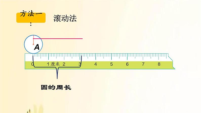 北师大版数学六年级上册 第5课时 圆的周长(1) 课件第4页