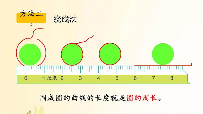 北师大版数学六年级上册 第5课时 圆的周长(1) 课件第5页