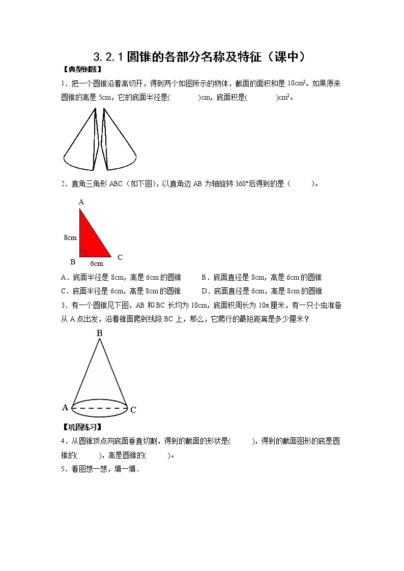 3.2.1圆锥的各部分名称及特征（课中）-【课前●课中●课后】小学数学六年级下册人教版 试卷01