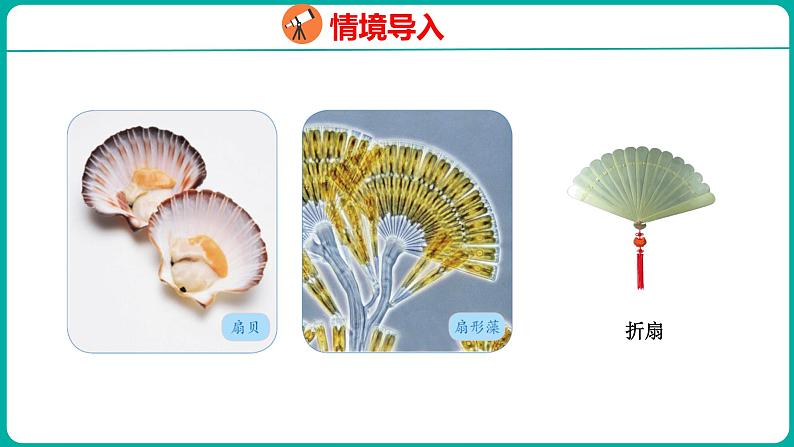 6.2 扇形的初步认识(课件)五年级下册数学苏教版03