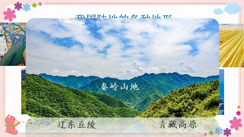 一、第1课时 认识扇形统计图(教学课件)03
