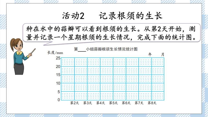 2.4 蒜叶的生长 课件+练习04