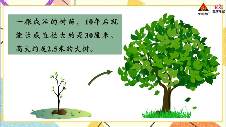 六 回顾与整理 4.综合与实践 4.2 开发绿色资源 第1课时 植树造林 课件+教案04