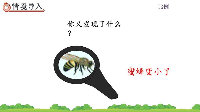 4.3.5 图形的放大与缩小课件PPT第3页