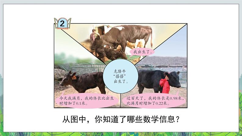 第7单元:奇异的克隆牛2《小数的加减混合运算(信息窗2)》教学课件02